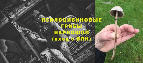 твердый Дегтярск