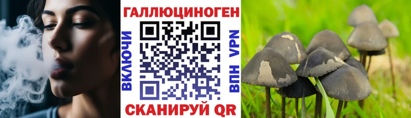 Псилоцибиновые грибы ЛСД Ртищево