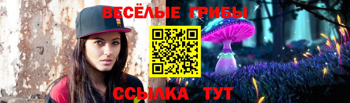 Галлюциногенные грибы Psilocybe  Ртищево 